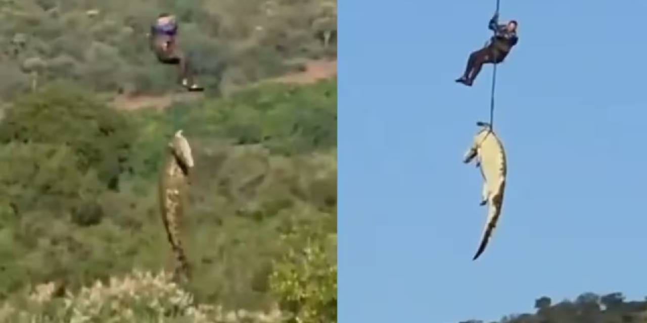 Kayıp iş insanını arama çalışmaları kabusa dönüştü! Dev timsahın midesinden çıkanlar şok yarattı