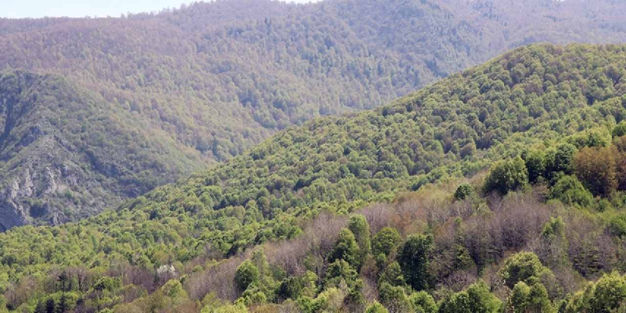 Kocaeli’de ormanlara giriş yasaklandı