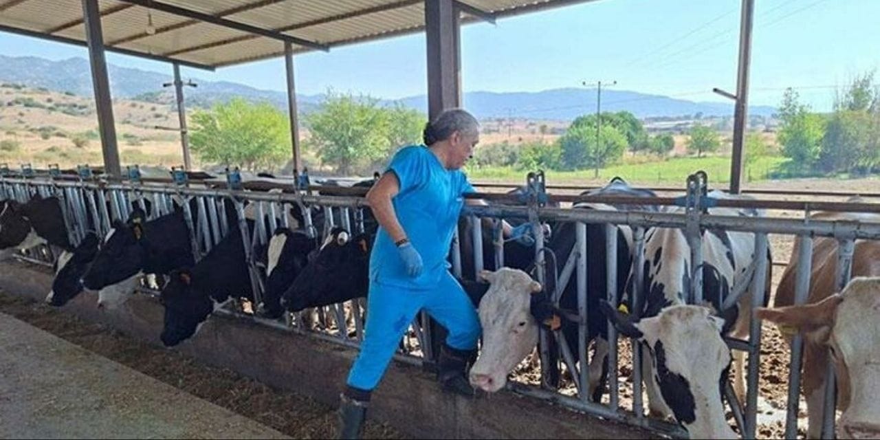 Aydın'da 17 mahallede karantina