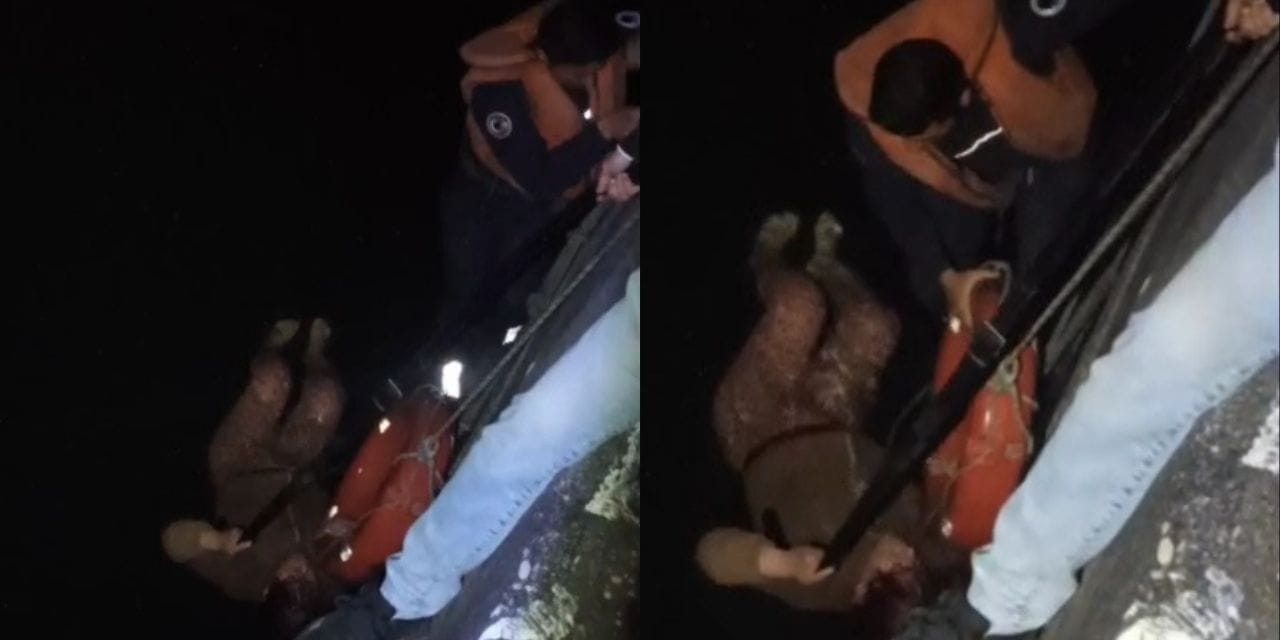 Seyhan Nehri'ne düşen kadın kurtarıldı
