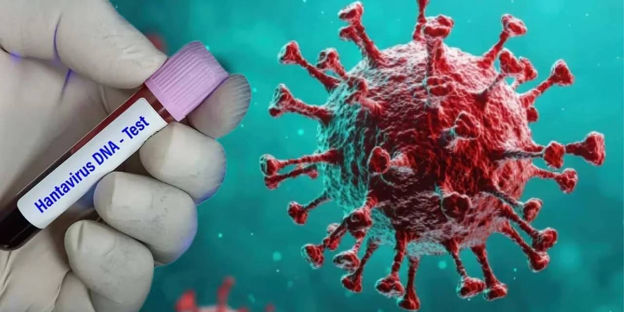 Hantavirüsle savaşan hastalar konuştu: Cehennem gibiydi