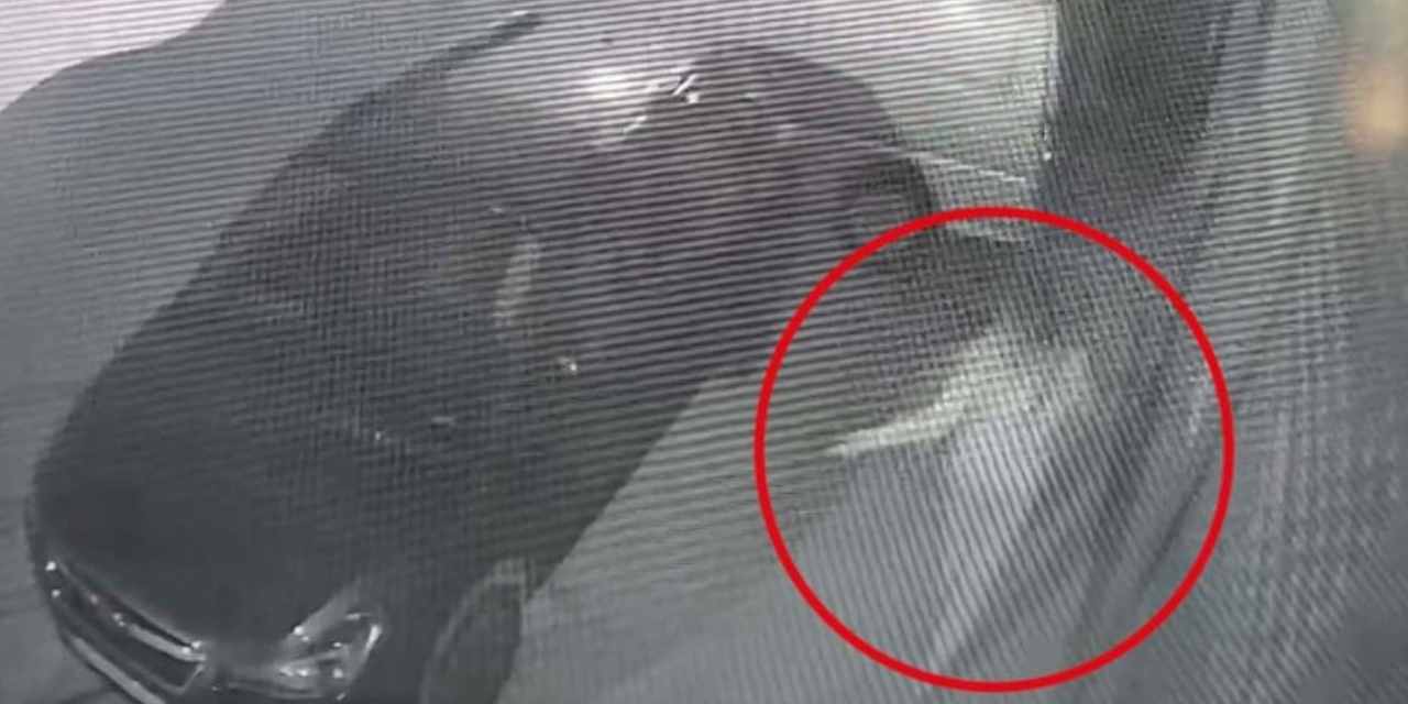 Bursa'dan gelip İstanbul'un orta yerinde eski sevgilisini vurdu