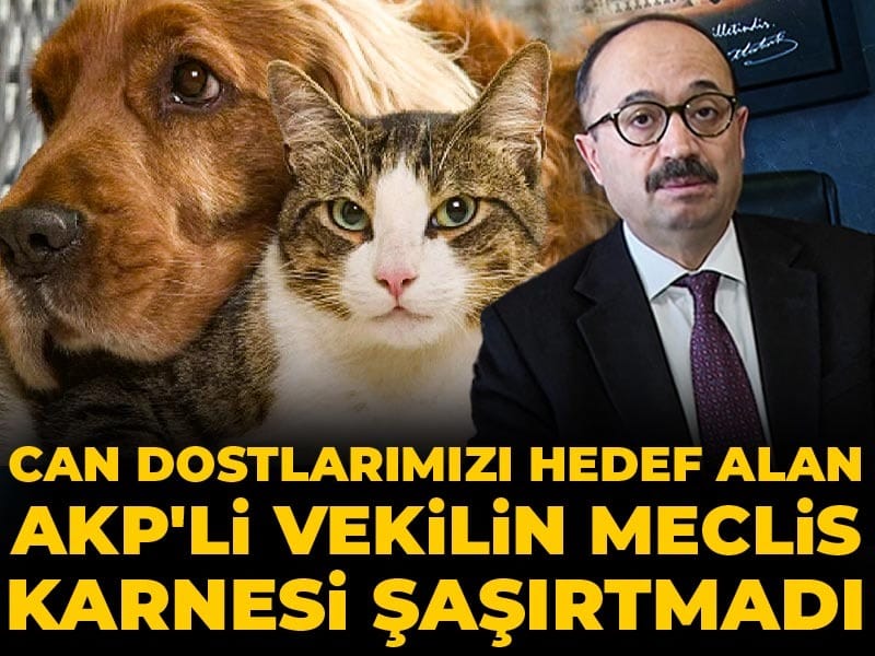 Can dostlarımızı hedef alan AKP'li vekilin meclis karnesi şaşırtmadı