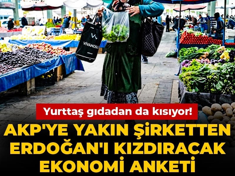 AKP'ye yakın şirketten Erdoğan'ı kızdıracak ekonomi anketi: Yurttaş gıdadan da kısıyor!