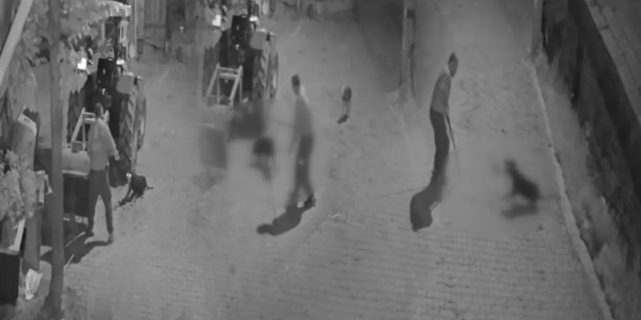 Köpeği demir çubukla öldüren cani tutuklandı!