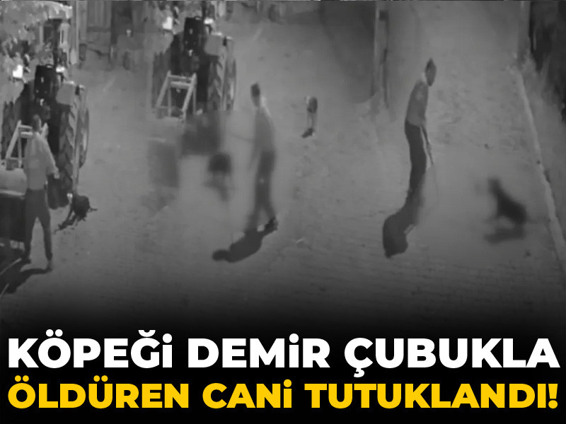 Köpeği demir çubukla öldüren cani tutuklandı!