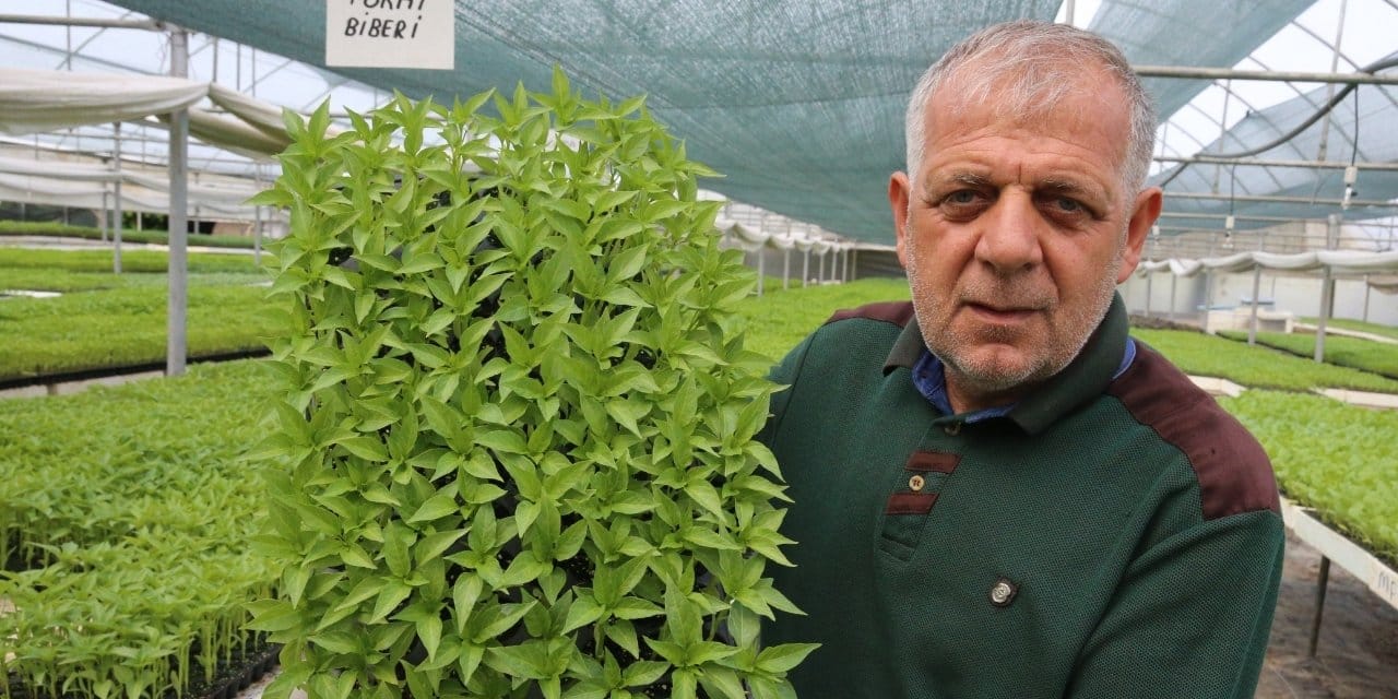 Sigara fabrikasından emekli olunca yeni bir hobi buldular:  Yılda 1,5 milyon fideyi 7,5 TL'den satıyorlar