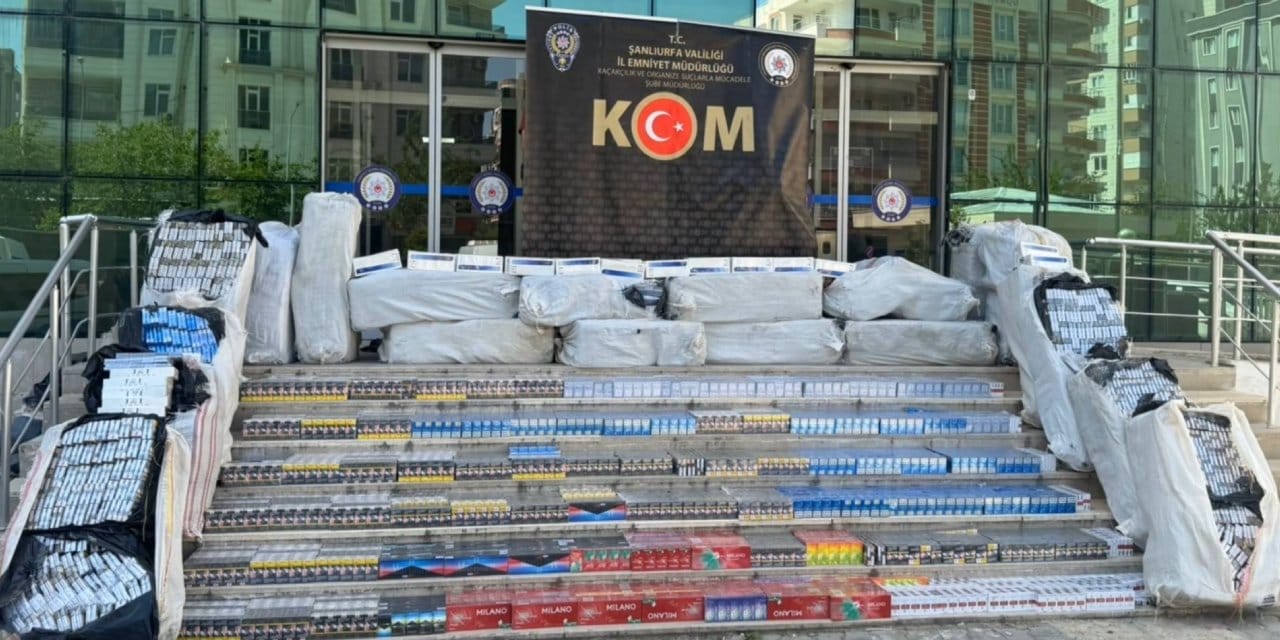 Saman balyalarının altından 40 bin paket kaçak sigara çıktı