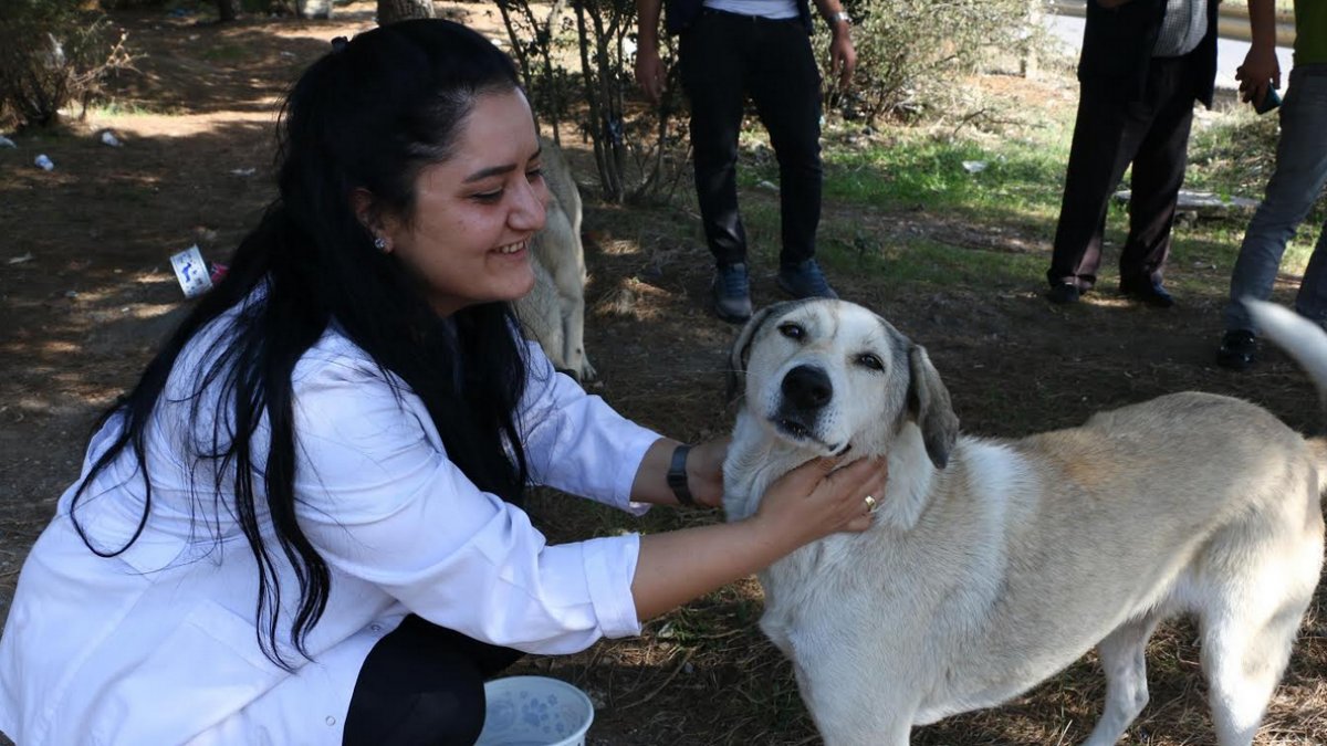 Kartal Belediyesi’nden 4 Ekim’de Sokak Hayvanlarına Mama Desteği