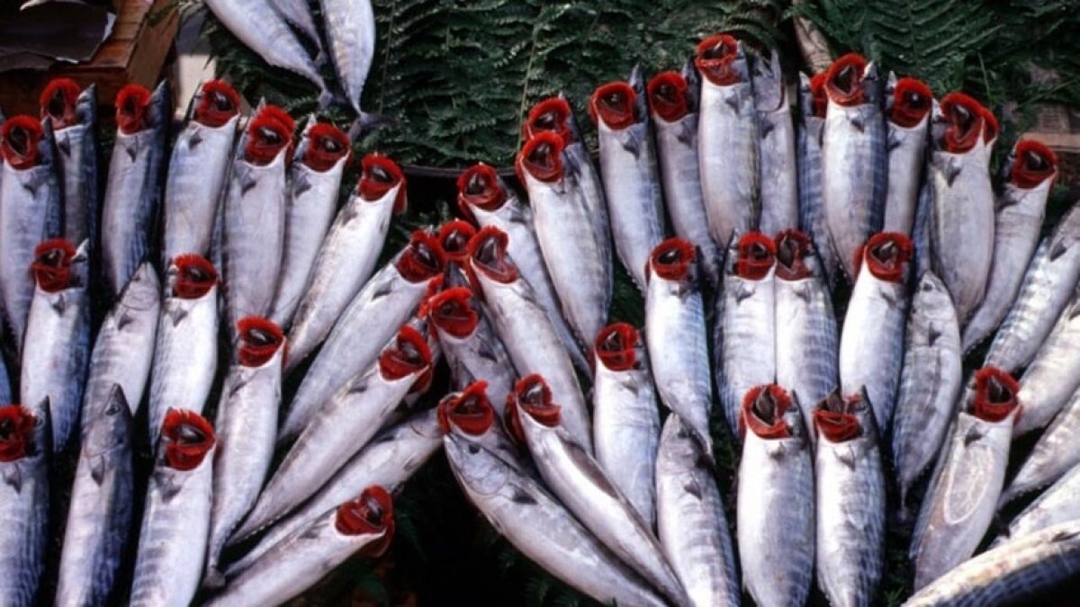 Sonunda bunu da yaptılar... Balıkta büyük hile!