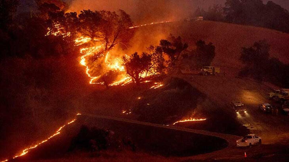 Yangınlarda 12 bin 806 hektar alan kül oldu