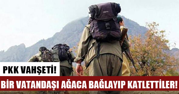 PKK'lı teröristler bir vatandaşı ağaca bağlayıp öldürdüler