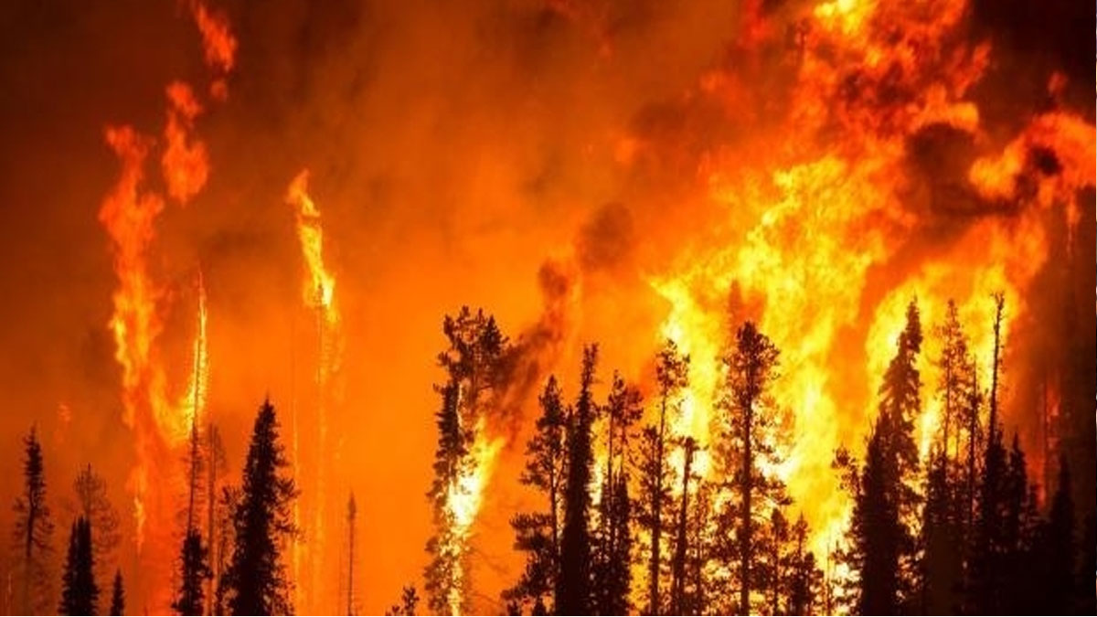 Orman yangınları önergesi AKP ve MHP'nin oylarıyla reddedildi