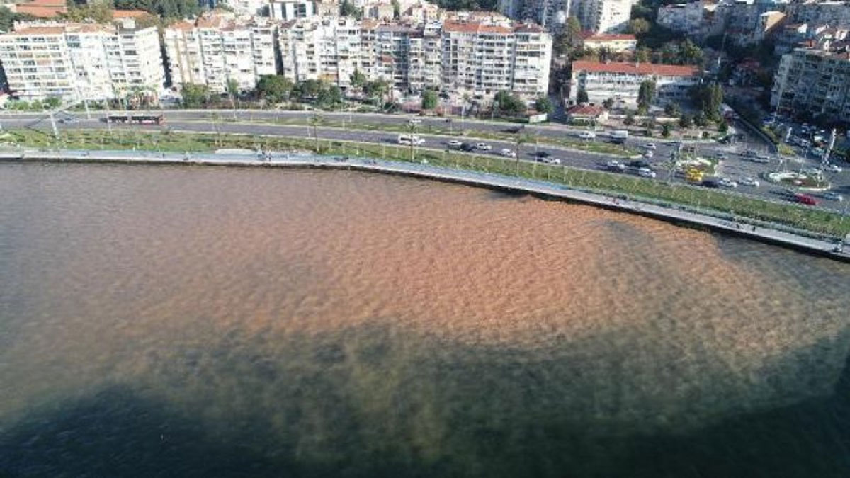 İzmir Körfezi'nde korkutan görüntü: Kahverengine döndü