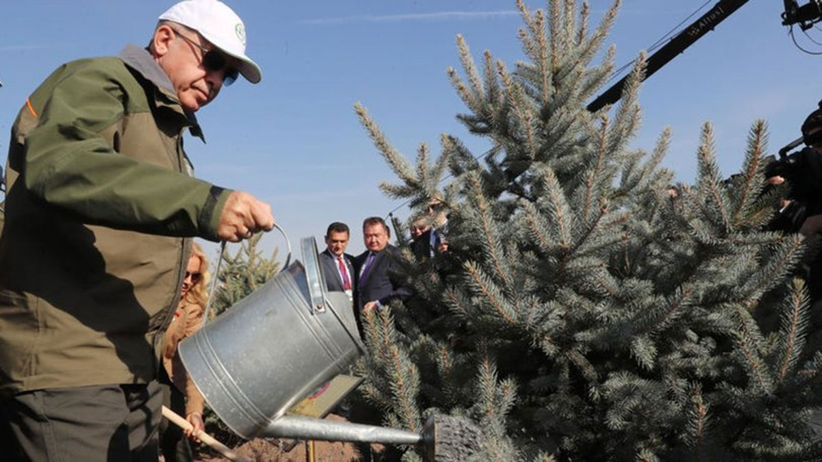 Erdoğan'ın ağaç dikimine tepki: Ağaçlandırma çalışması böyle olmaz