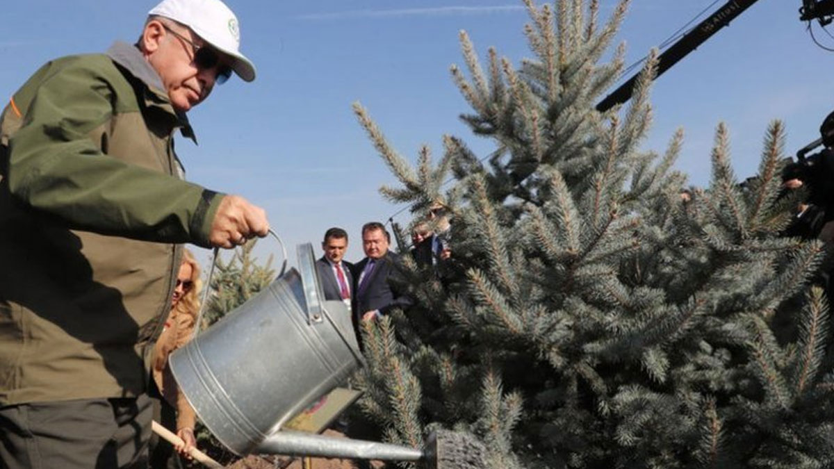 11 milyon fidan kampanyasının gerçekleri: 8-9 milyonu zayi olacak