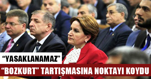 Meral Akşener’in kuracağı partide "Bozkurt" yasaklanacak mı?