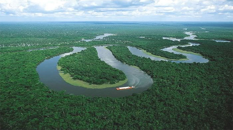 Brezilya'da Amazon’daki madenciliğine mahkeme engeli