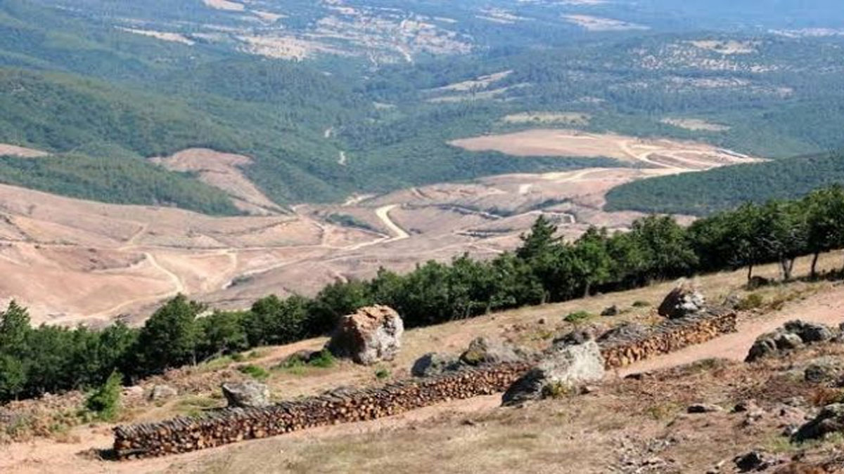 Ağaç katliamının yapıldığı Kaz Dağları 155 firmaya verilmiş
