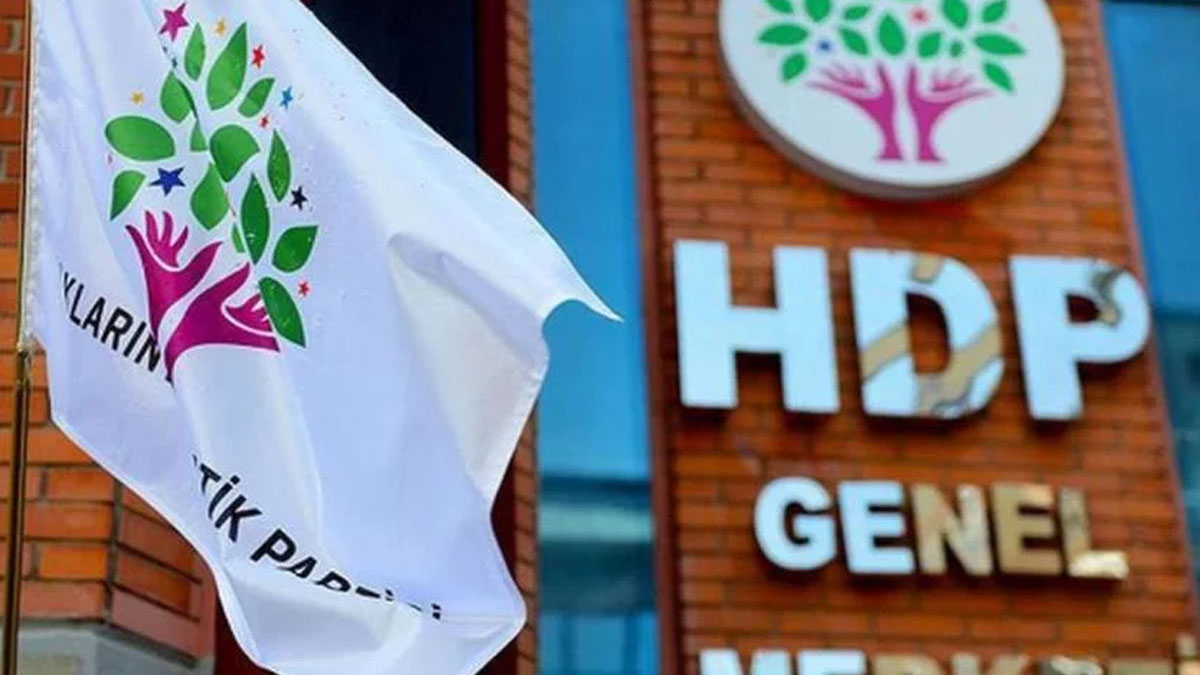 HDP'de istifa