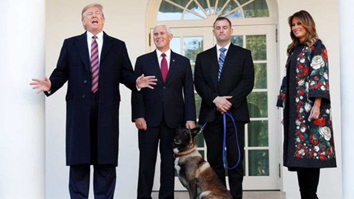 Trump'tan Bağdadi operasyonunda görevli köpeğe plaket ve madalya