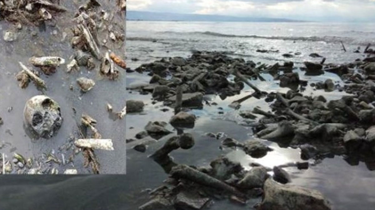 Dehşete düşüren olay: Van Gölü kıyısına kemikler vurdu