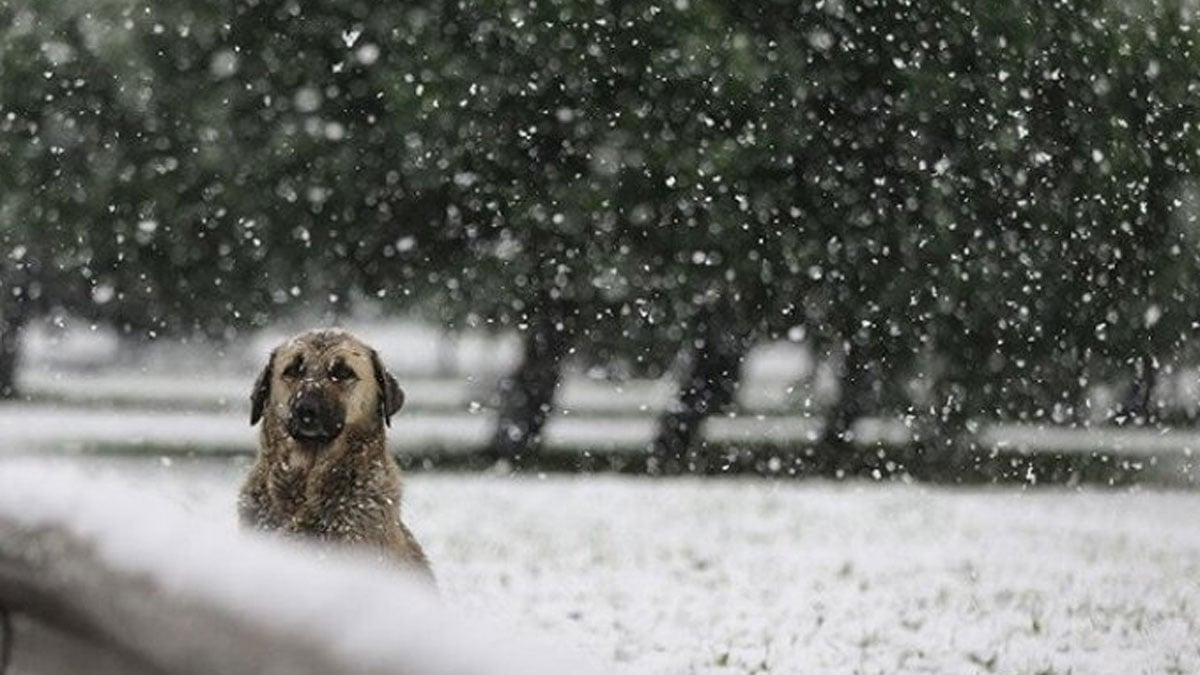 Meteorolojiden il il kar yağışı uyarısı ve hava durumu