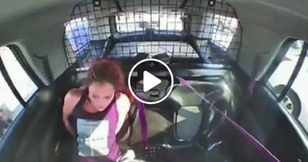 Hırsızlıktan tutuklanan kadın, kelepçeden kurtulup, polis arabasıyla kaçtı!