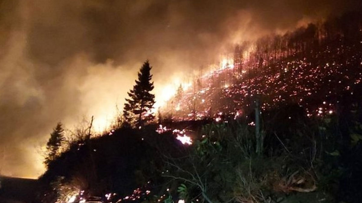 Karadeniz'de 5 ilde eş zamanlı başlayan yangınlardan 71 tanesi devam ediyor