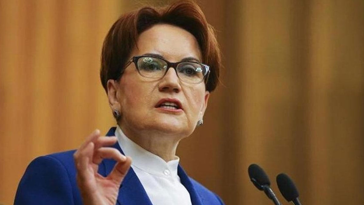 Meral Akşener'den 'Kanal İstanbul' açıklaması