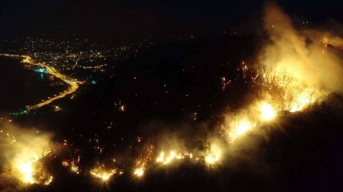 Giresun'da örtü yangınlarına neden olan 5 kişi hakkında suç duyurusu