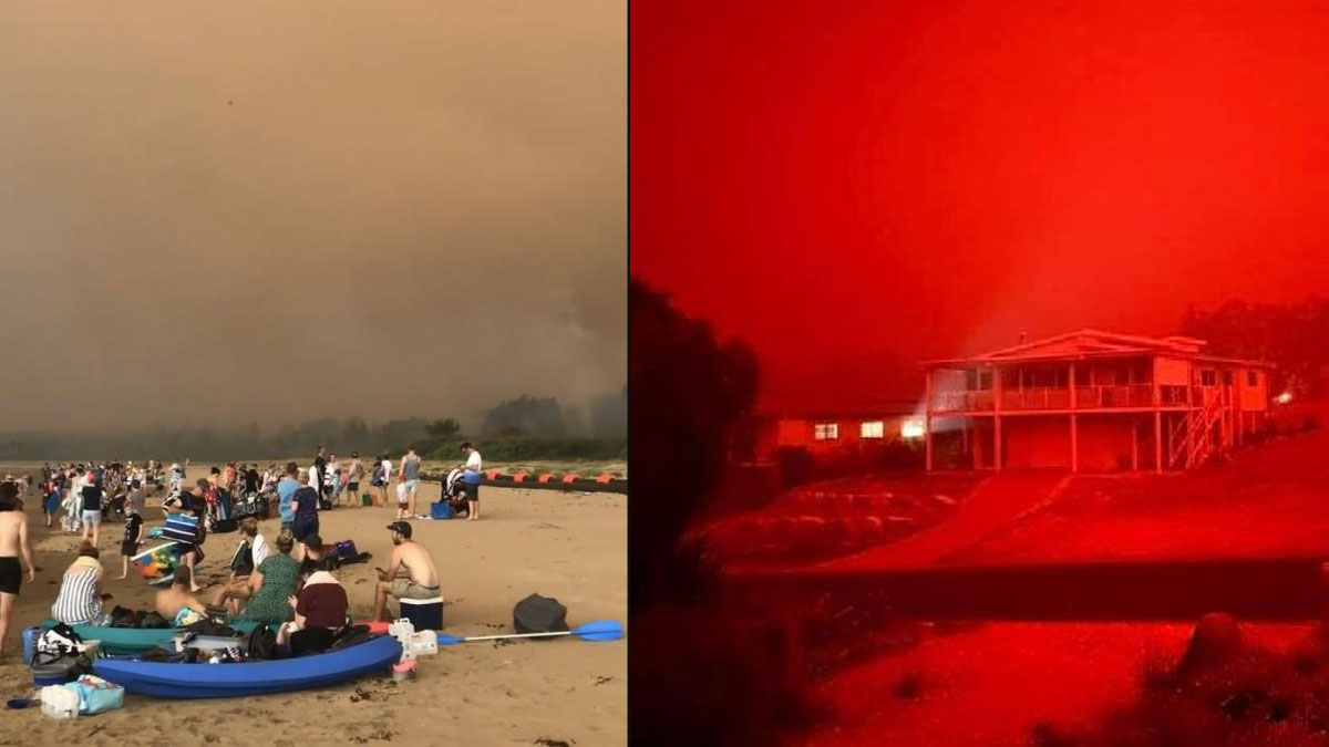 Avustralya'da orman yangınları: Binlerce kişi sahile sığındı