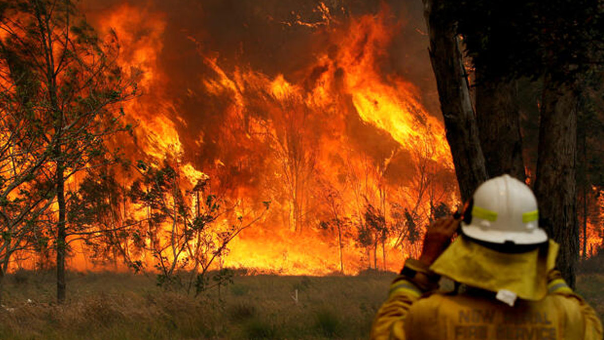 Avustralya'daki yangında hayatını kaybedenlerin sayısı 15'e çıktı