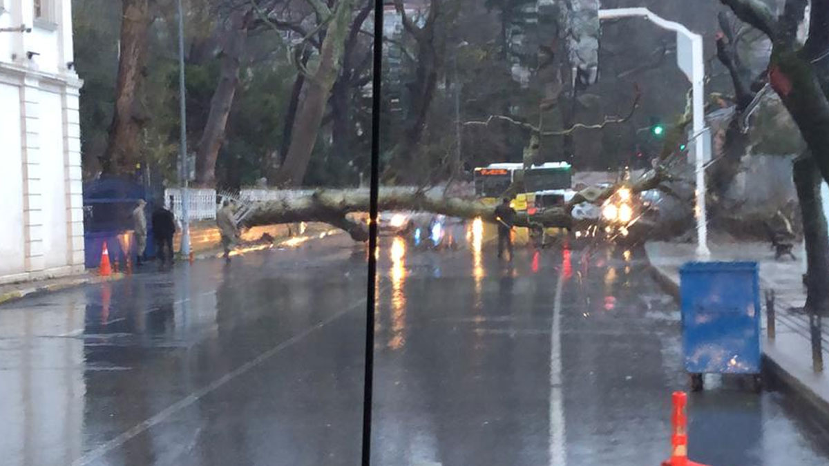 İstanbul'da yola ağaç devrildi, trafik felç oldu