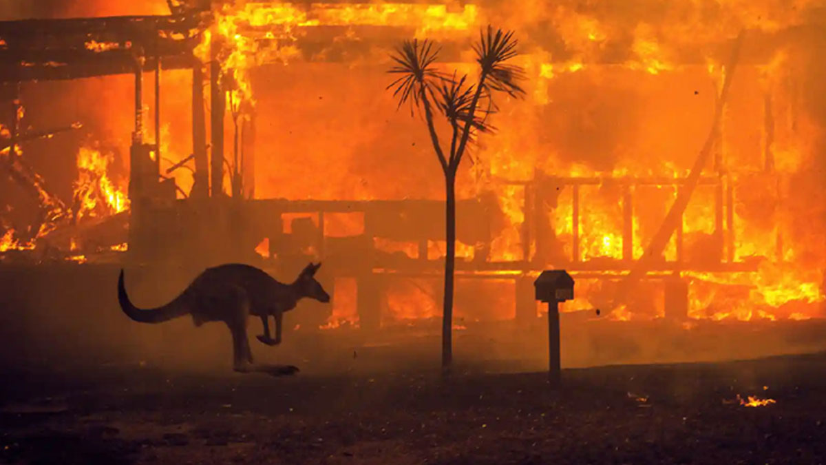 Avustralya'da aylardır süren yangınların perde arkasında ne var?