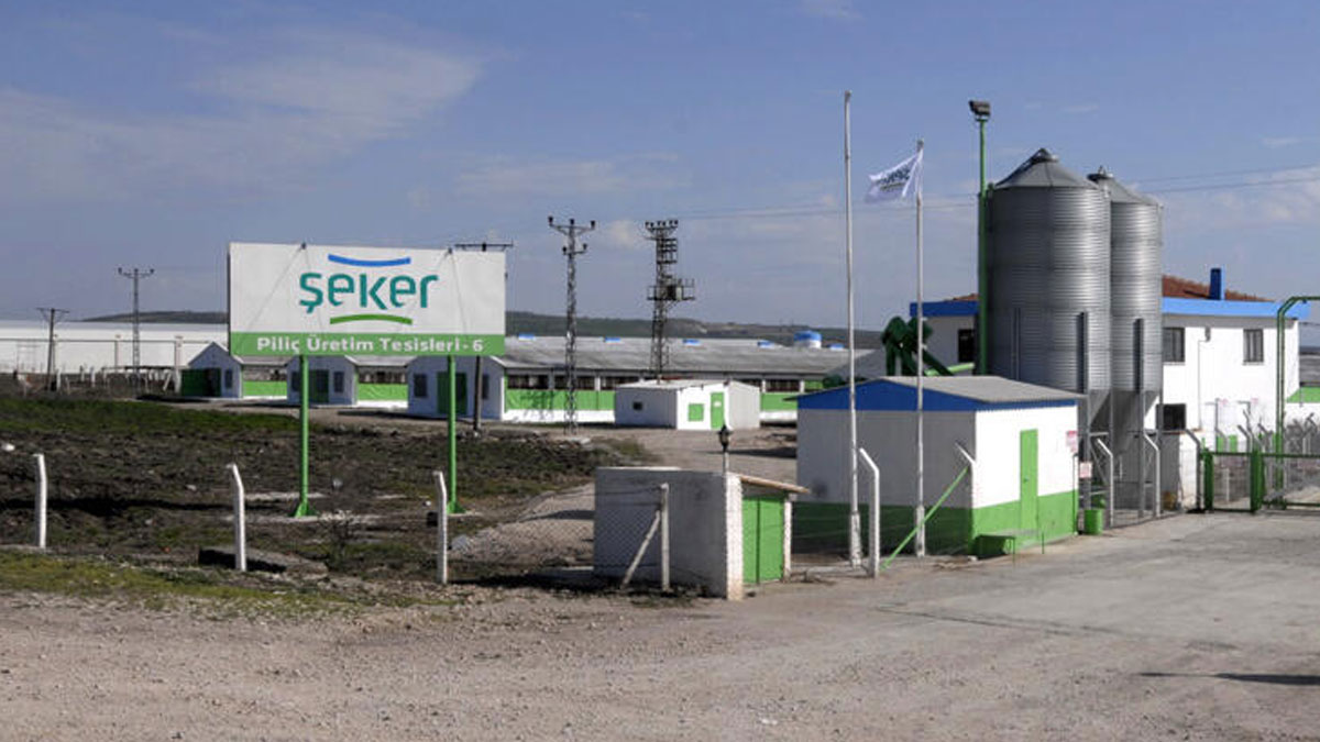 Şeker Piliç markası icradan satışa çıkıyor