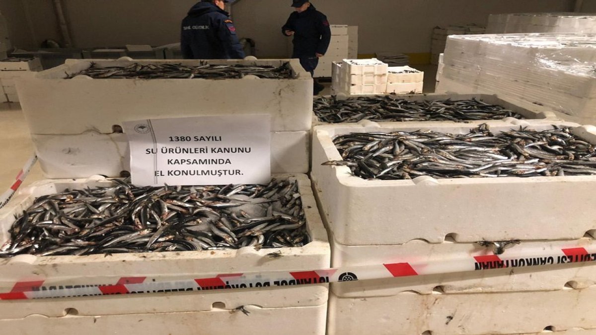 53 ton balığa el konuldu