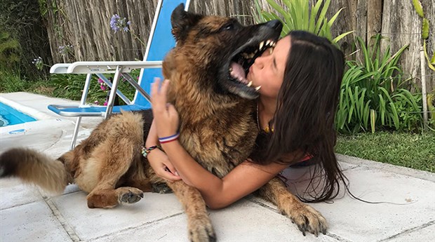 Arkadaşının köpeğiyle fotoğraf çekilmek istedi: Yüzüne 40 dikiş atıldı