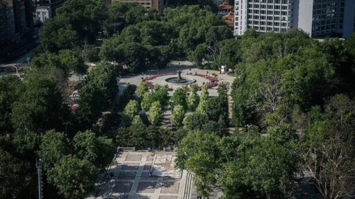 İBB, Gezi Parkı'ndaki kuruyan ağaçları kaldırıyor