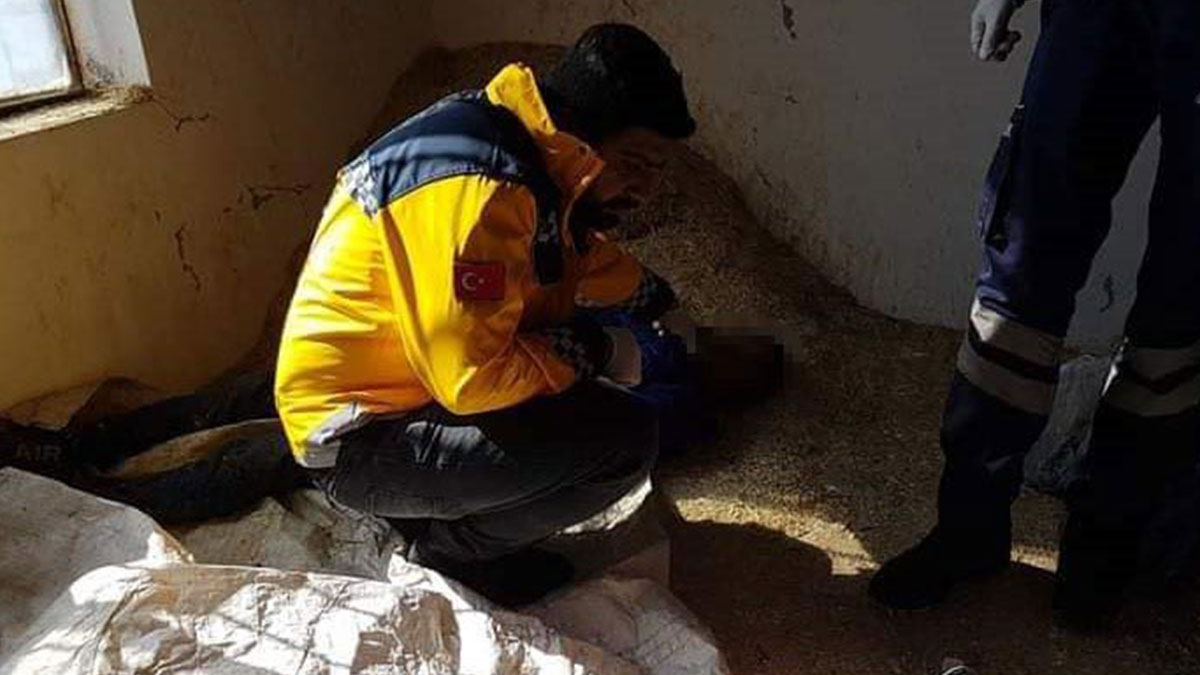 Hakkari'de bir göçmen donarak öldü