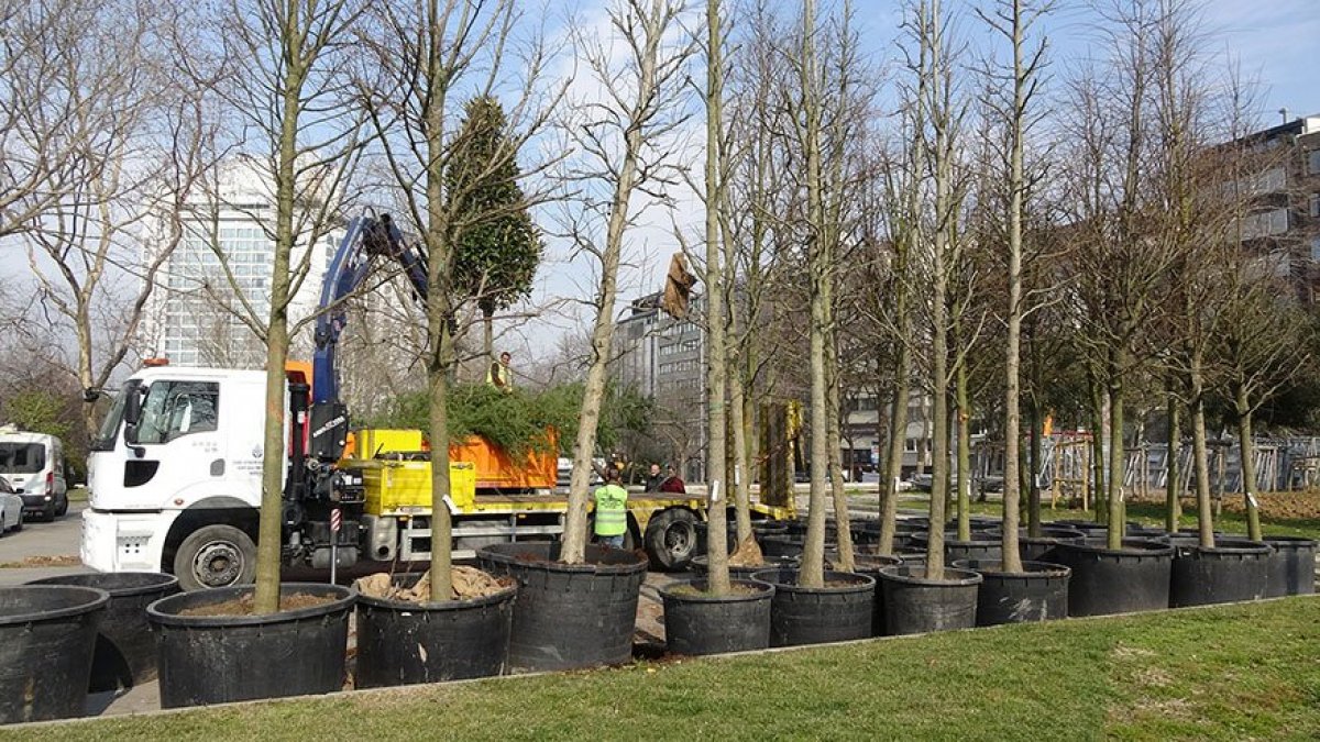 Gezi Parkı’na 150 ağaç dikiliyor