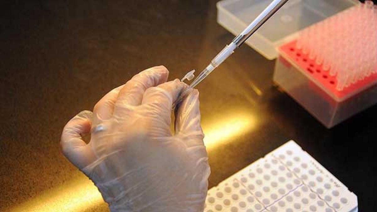 ABD'de coronavirüs aşısı test ediliyor