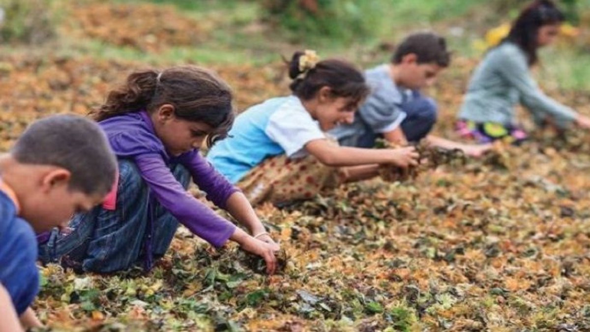 Rapor: Ülkemizde en az 720 bin çocuk işçi bulunuyor