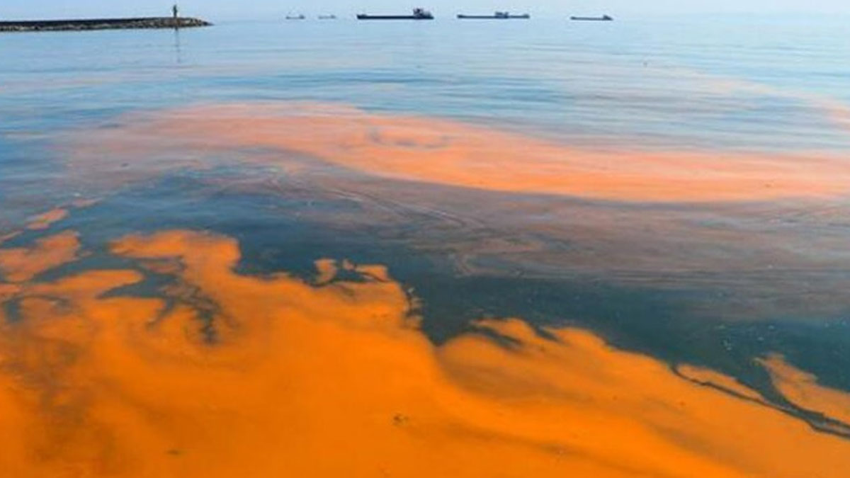Marmara Denizi'nde suyun rengi turuncu oldu