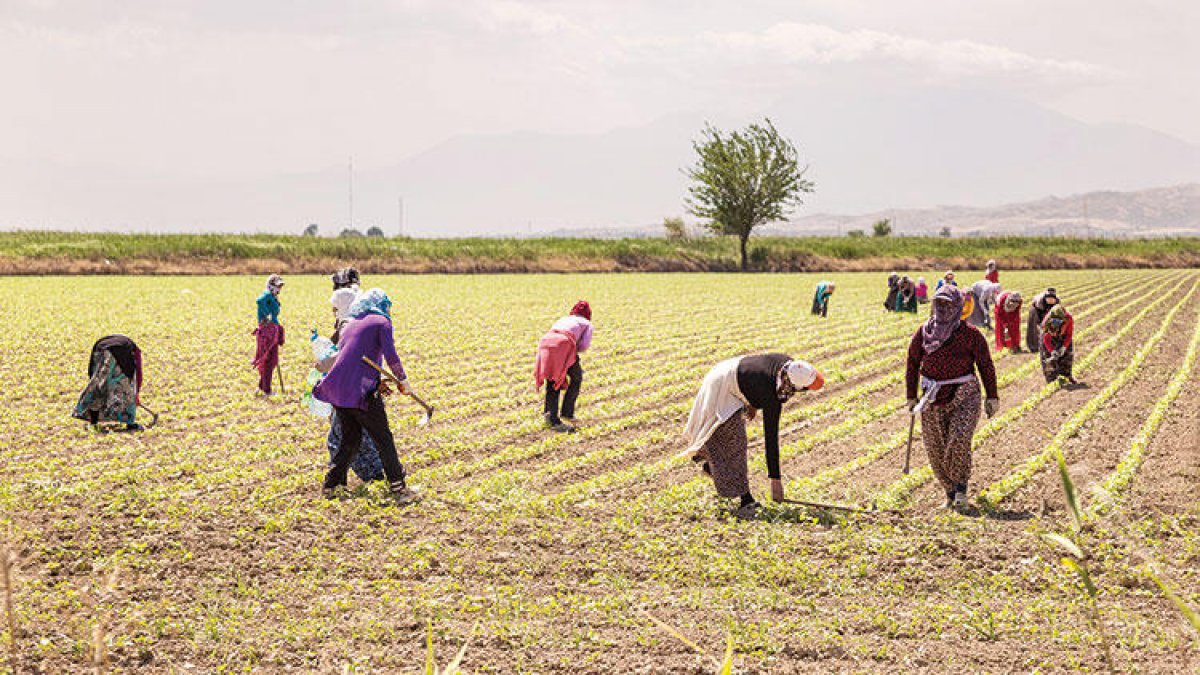 Kılıçdaroğlu'ndan vekillere çağrı: Çiftçilerin borçlarını silelim