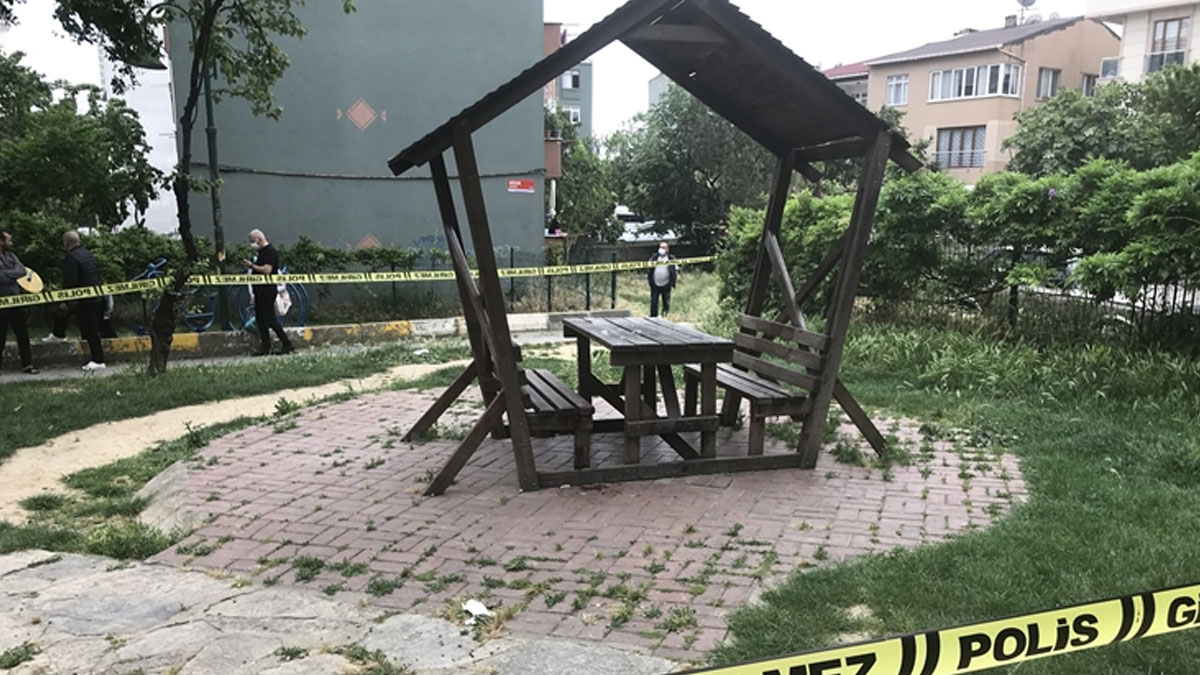 İstanbul'da bir kişi, parkta oğlunu öldürdü