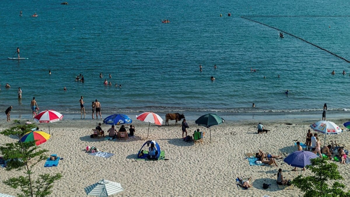 Sağlık Bakanlığı plajlarda uygulanacak önlemleri açıkladı