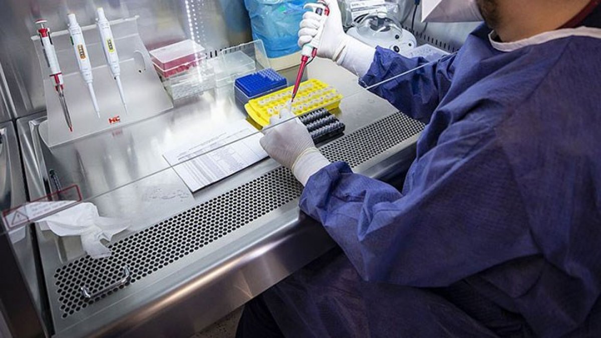 Sağlık Bakanlığından PCR testleri için yeni düzenleme