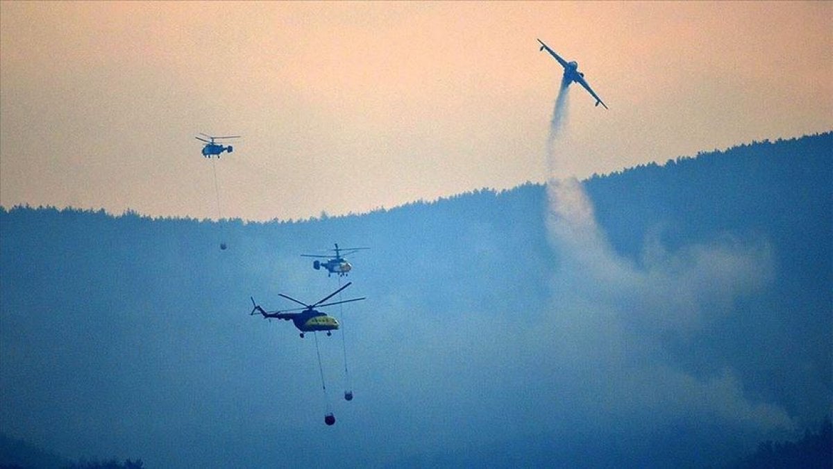 Bakan duyurdu: Çanakkale'de yangın kontrol altına alındı