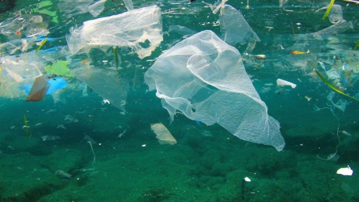 "2050 yılında denizlerde balıklardan çok mikroplastik olacak"
